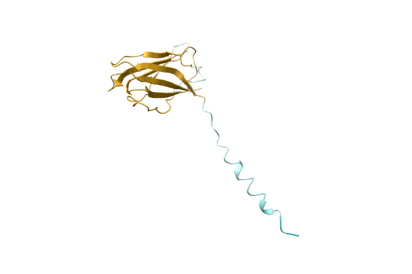 AF-A1A765-F1 image