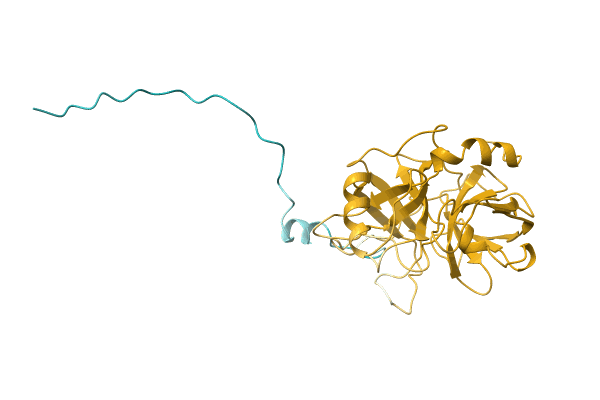 AF-A1KXI1-F1 image