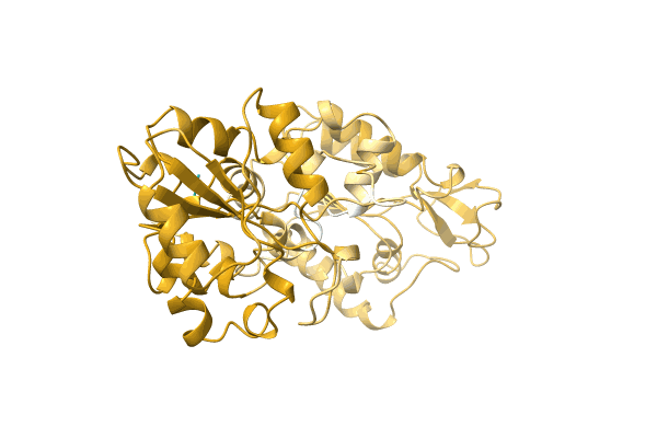 AF-A1QYK6-F1 image