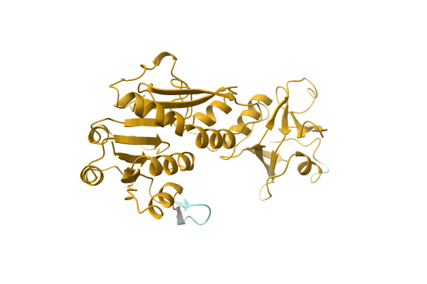 AF-A1QYL4-F1 image