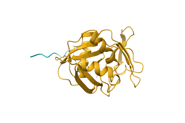AF-A1R1M6-F1 image