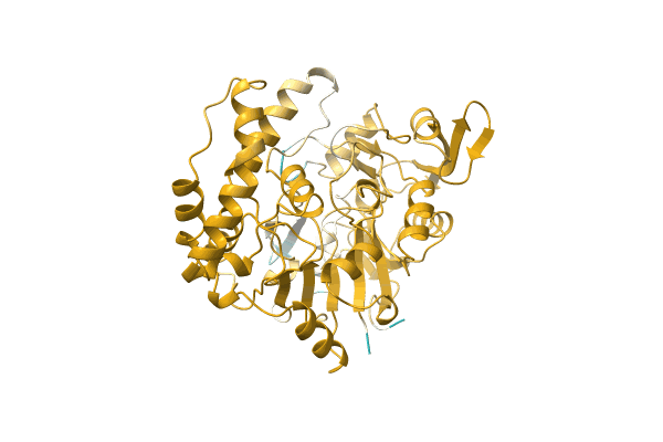 AF-A1R2A8-F1 image