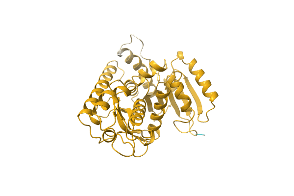 AF-A1R2B5-F1 image
