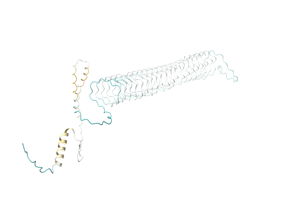AF-A1X158-F1 image