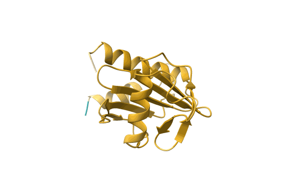 AF-A4GCR5-F1 image