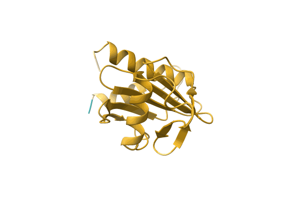 AF-A4GD50-F1 image