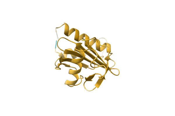 AF-A4GD56-F1 image