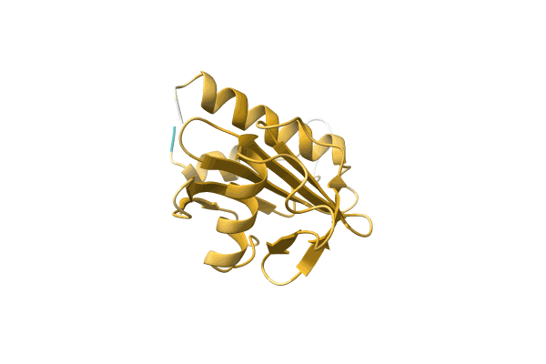 AF-A4GD58-F1 image