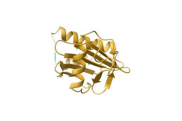 AF-A4GDR7-F1 image