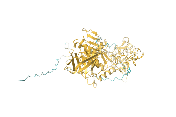 AF-A4PBQ9-F1 image