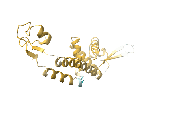 AF-A4WGY5-F1 image