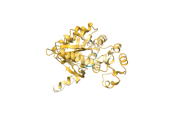 AF-A4YCP2-F1 image