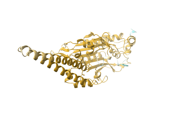 AF-A5CNA2-F1 image