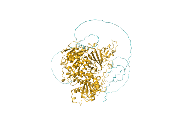 AF-A5DSK2-F1 image