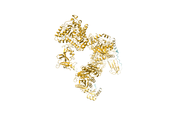 AF-A5H0J2-F1 image