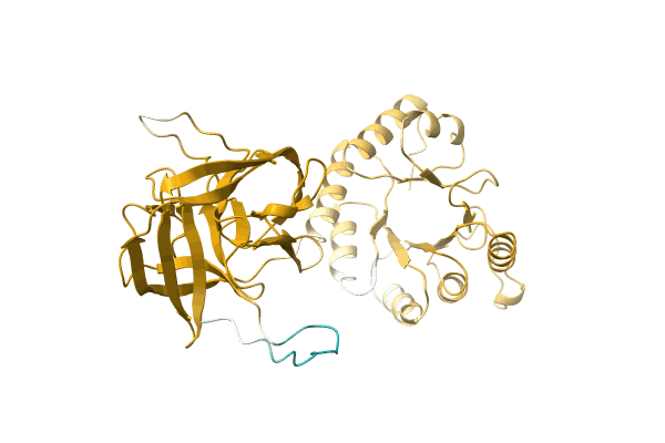 AF-A5UJ82-F1 image