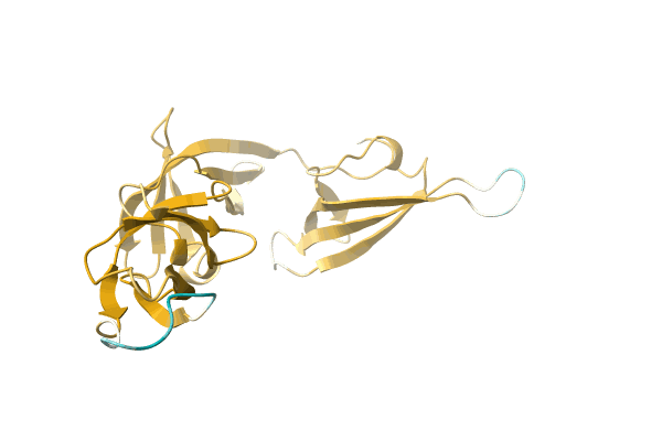 AF-A7MS04-F1 image
