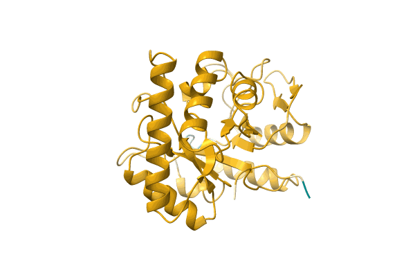 AF-A8HRP6-F1 image