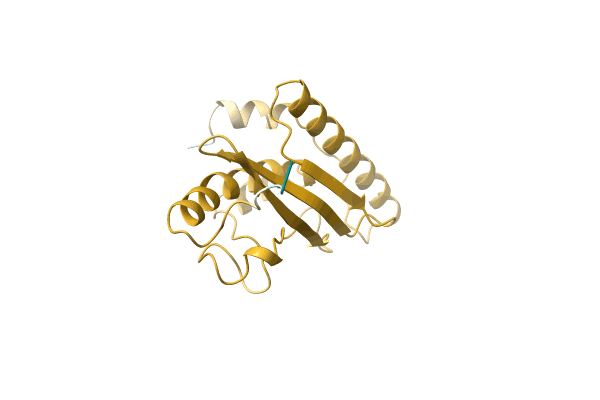 AF-A9UR29-F1 image