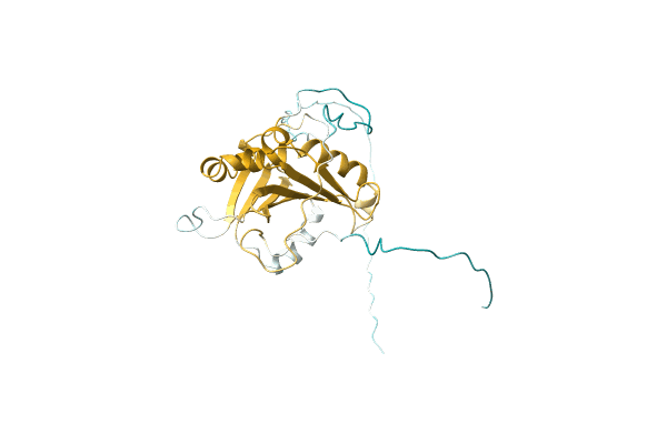 AF-A9YF60-F1 image