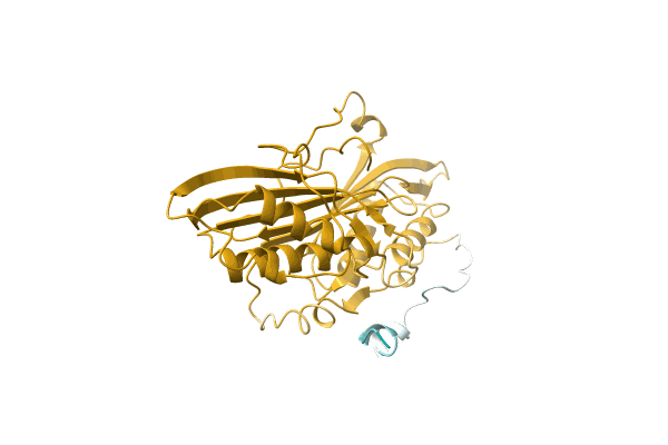 AF-B6EGG7-F1 image