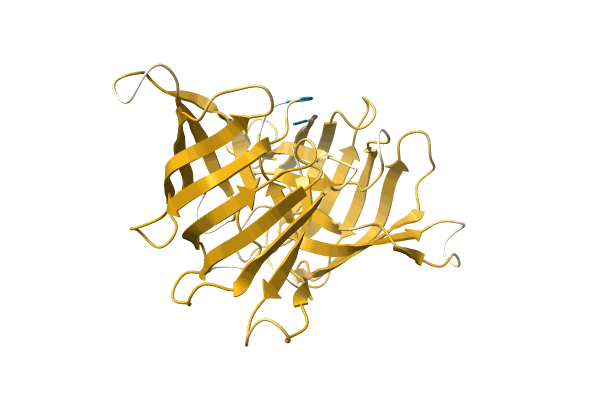 AF-C0HL90-F1 image