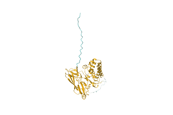 AF-C0IPP1-F1 image