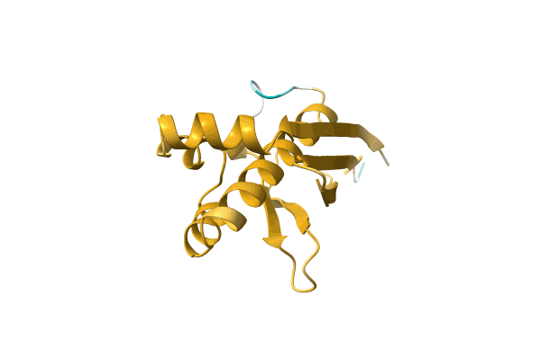 AF-C0M6I4-F1 image