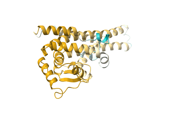 AF-C0QPE1-F1 image