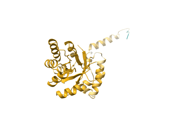 AF-C0QPV2-F1 image