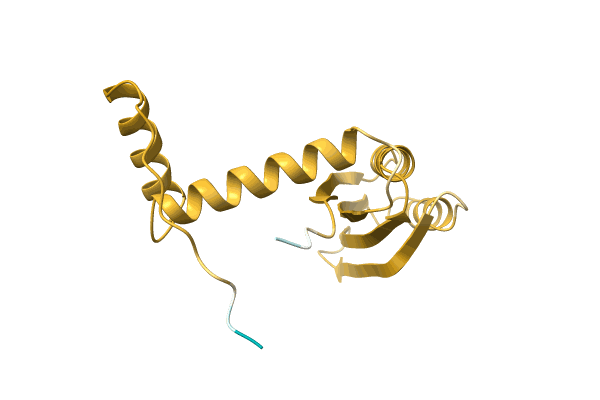 AF-C0QPW0-F1 image