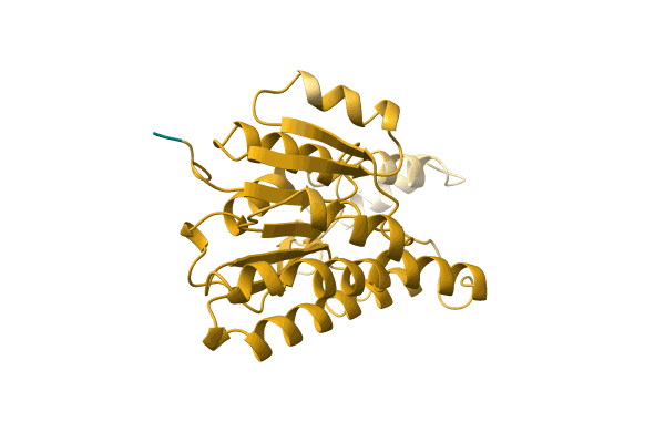 AF-C1C4R8-F1 image