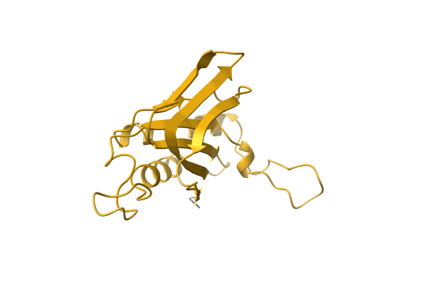 AF-C1CUI9-F1 image