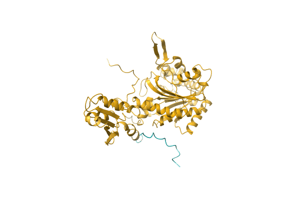 AF-C1CV35-F1 image