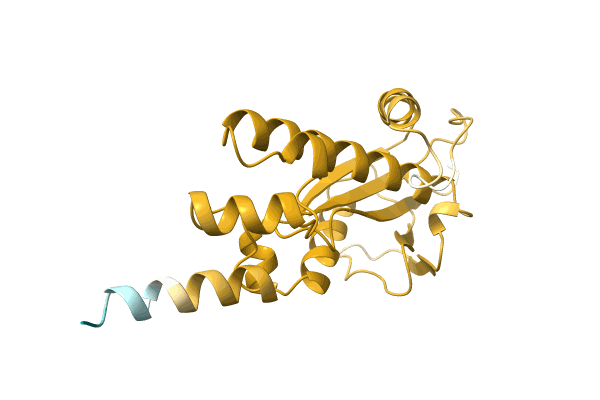 AF-C1D4C1-F1 image