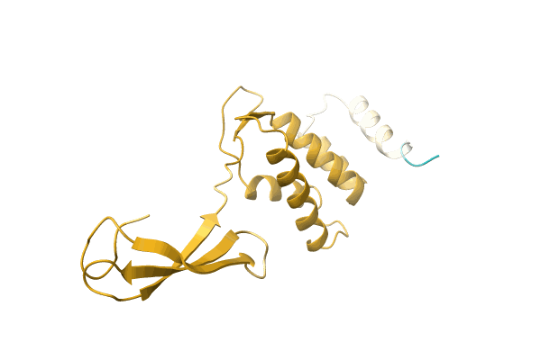 AF-C1D4D0-F1 image