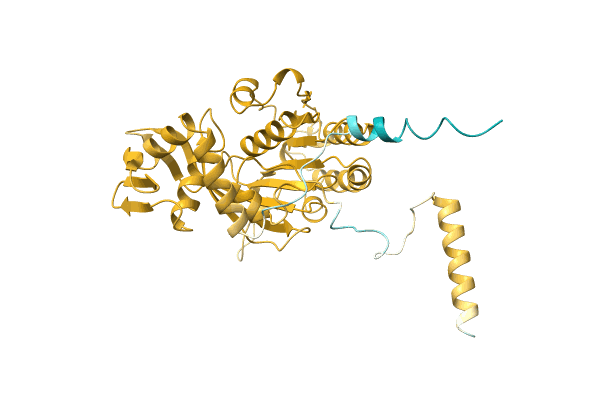 AF-C1D4J2-F1 image