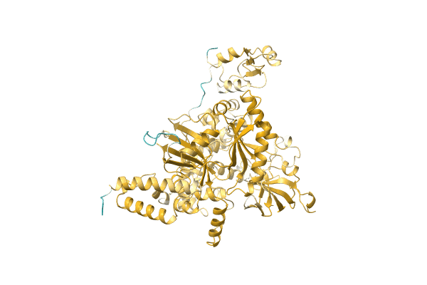 AF-C1D4R5-F1 image