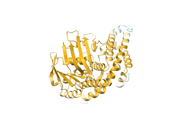 AF-C5BUP6-F1 image