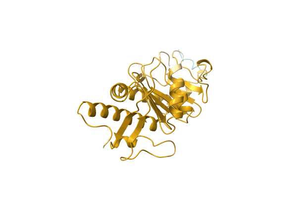 AF-C5JIC2-F1 image