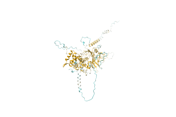 AF-C5JIS5-F1 image