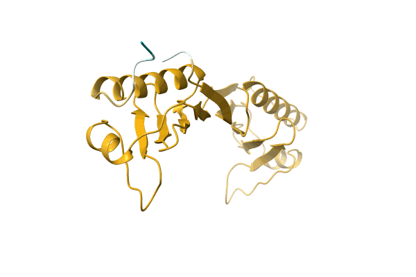 AF-C6A0R1-F1 image