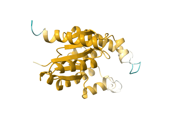 AF-C6A0S1-F1 image