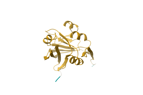 AF-C8UMM3-F1 image
