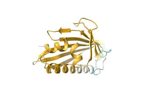 AF-D0E0C7-F1 image