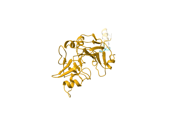 AF-D1AFM9-F1 image