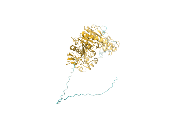 AF-D2D3B6-F1 image