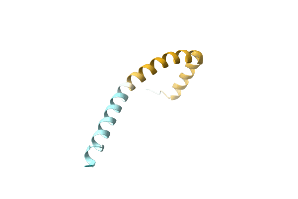 AF-D2TMS1-F1 image
