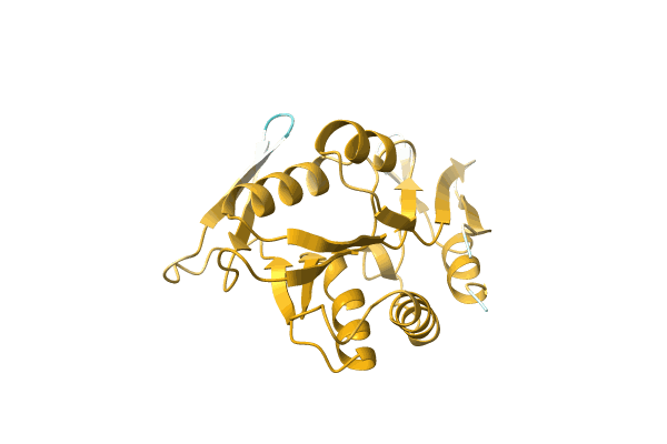 AF-D3DYU7-F1 image