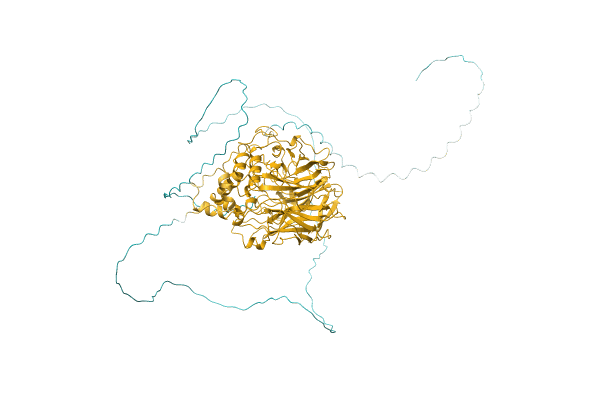 AF-D3WYV9-F1 image